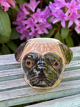 Äggkopp mops