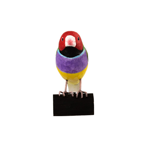 DecoBird Diamant de Gould - 3