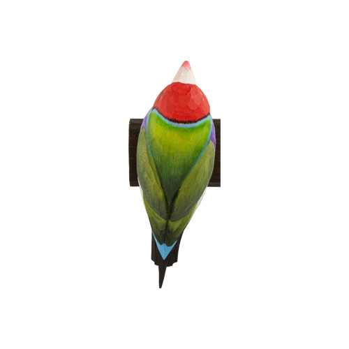 DecoBird Diamant de Gould - 5