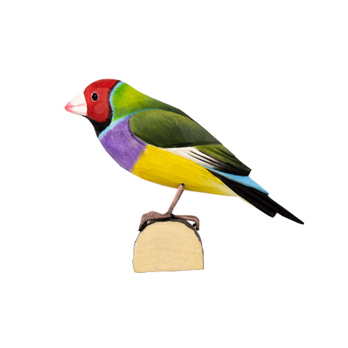 DecoBird Diamant de Gould - 4