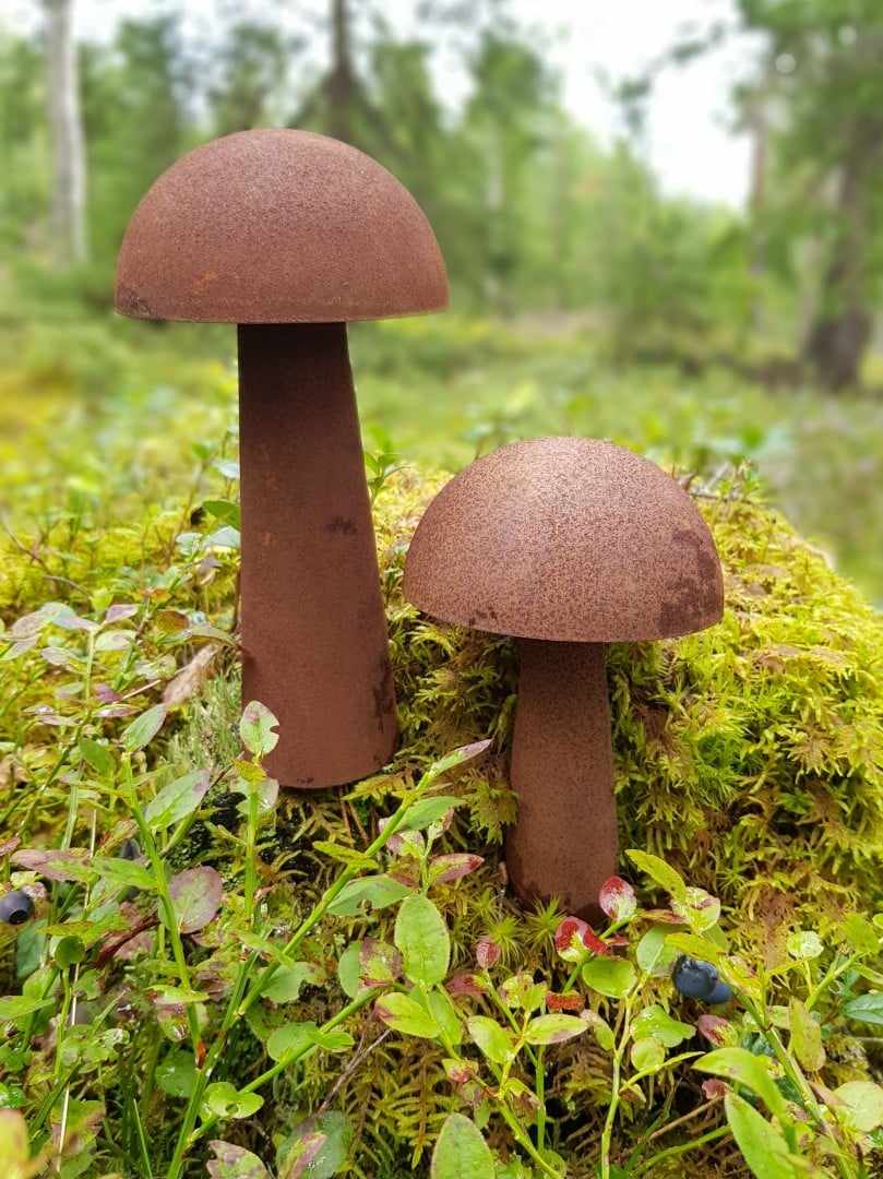 Svamp på pinne i rost  - 6