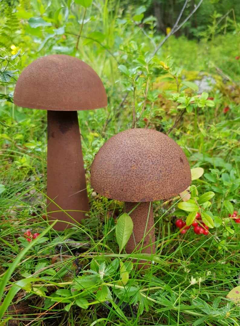 Svamp på pinne i rost  - 4
