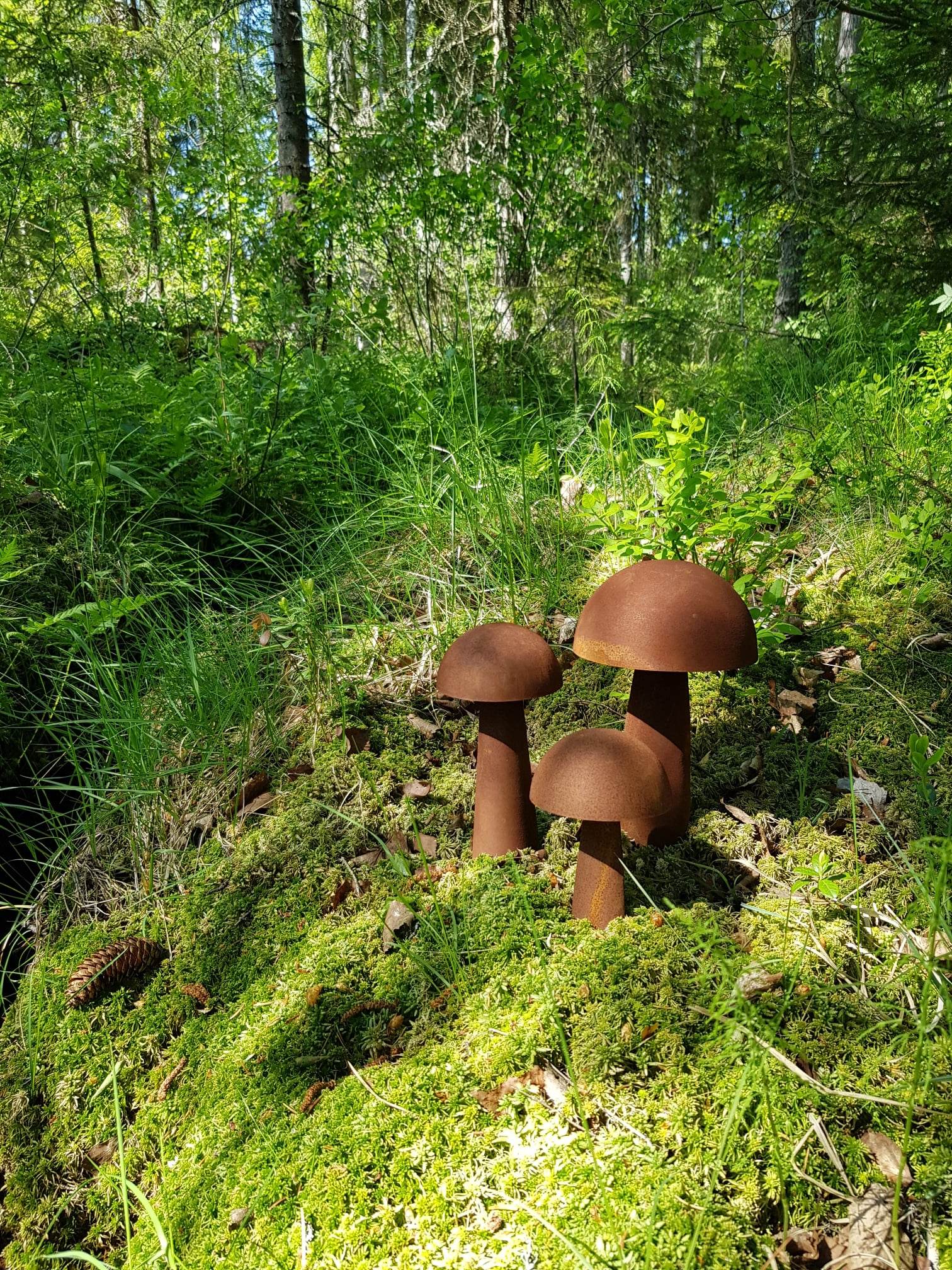 Svamp på pinne i rost  - 5