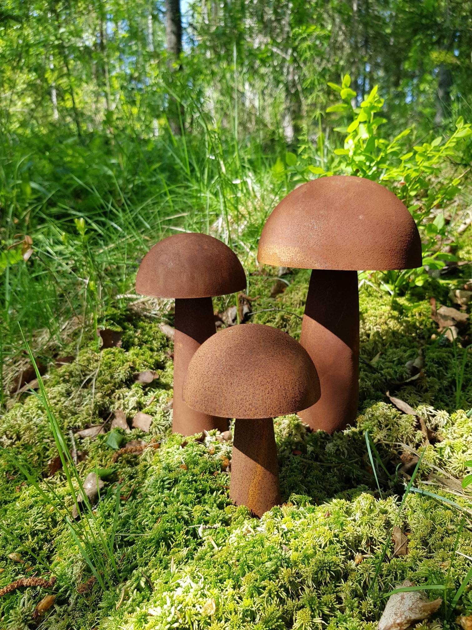 Svamp på pinne i rost 