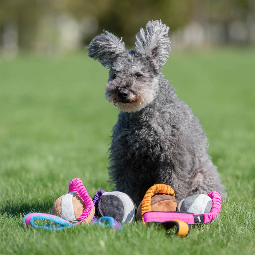 SportsK9 BungeeChewie - läderboll med elastiskt handtag - 7
