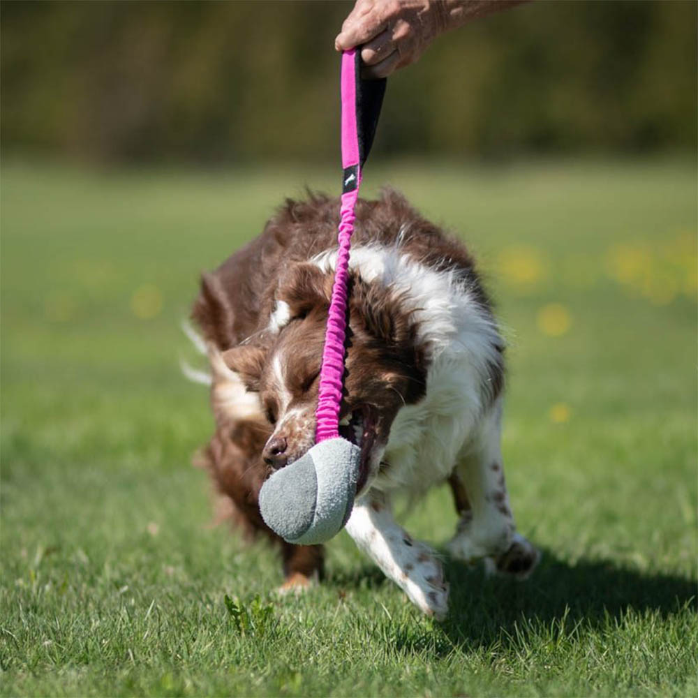 Joy of sport BungeeChewie hundleksak läderboll med elastiskt bungee handtag