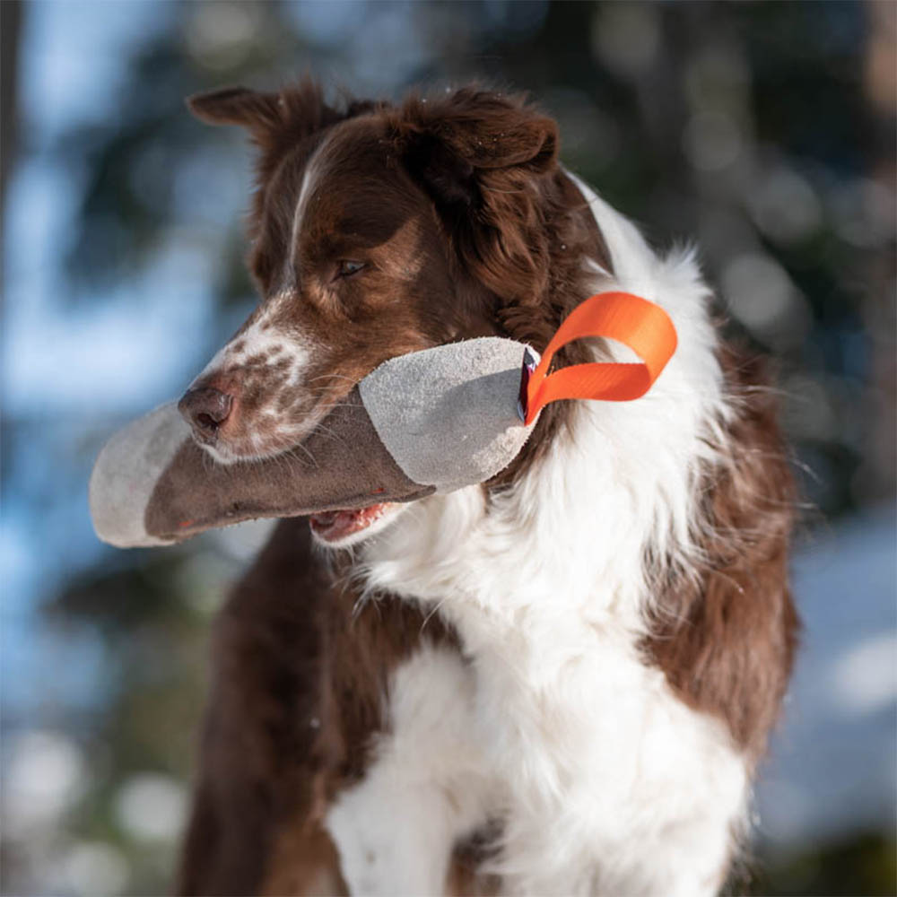 Fun and durable dog toy circular economy SportsK9 mighty tug