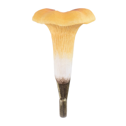 Hook Chanterelle - 3