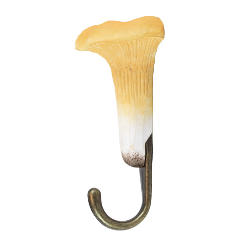 Hook Chanterelle - 4