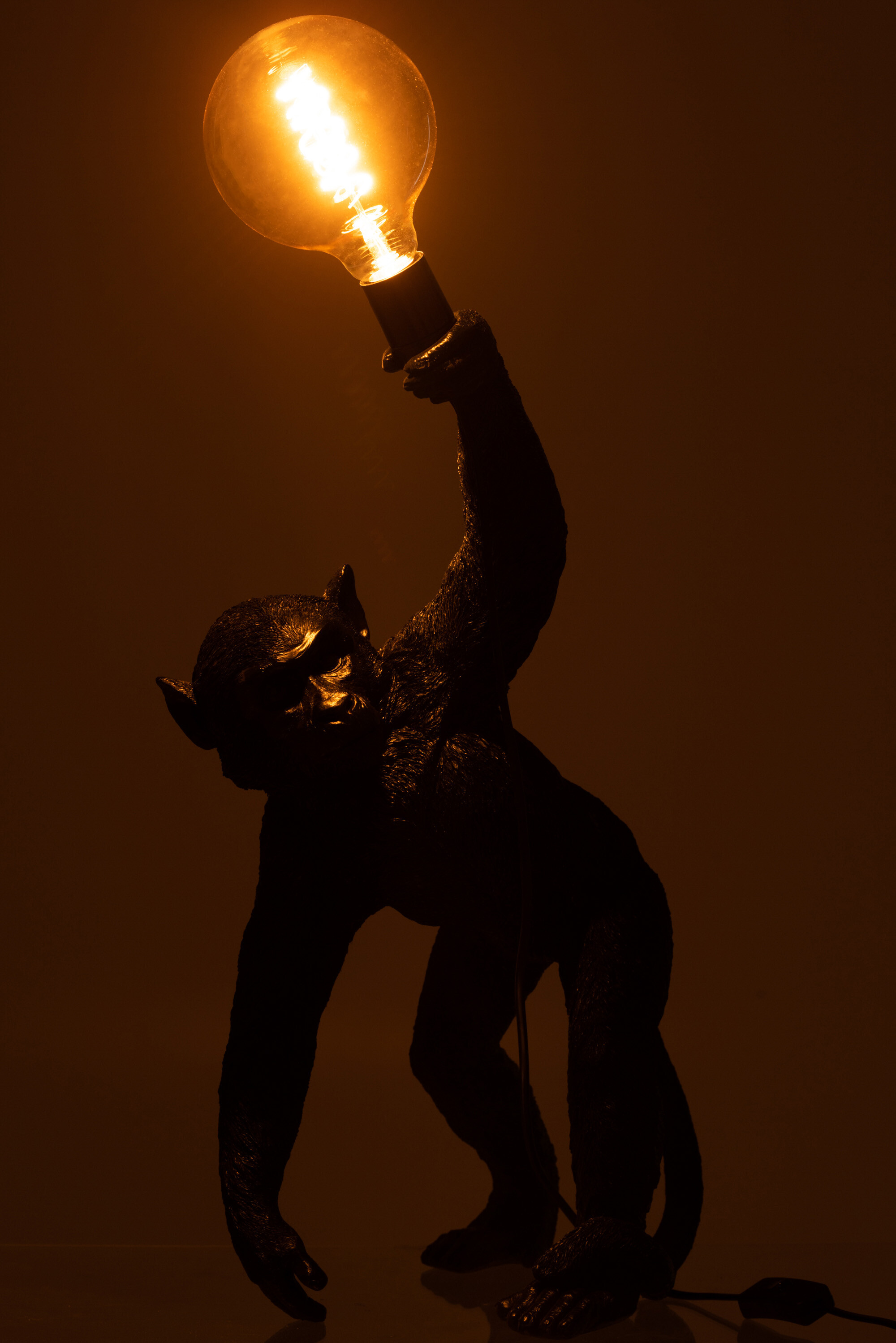 Lampa - MONKEY - 3