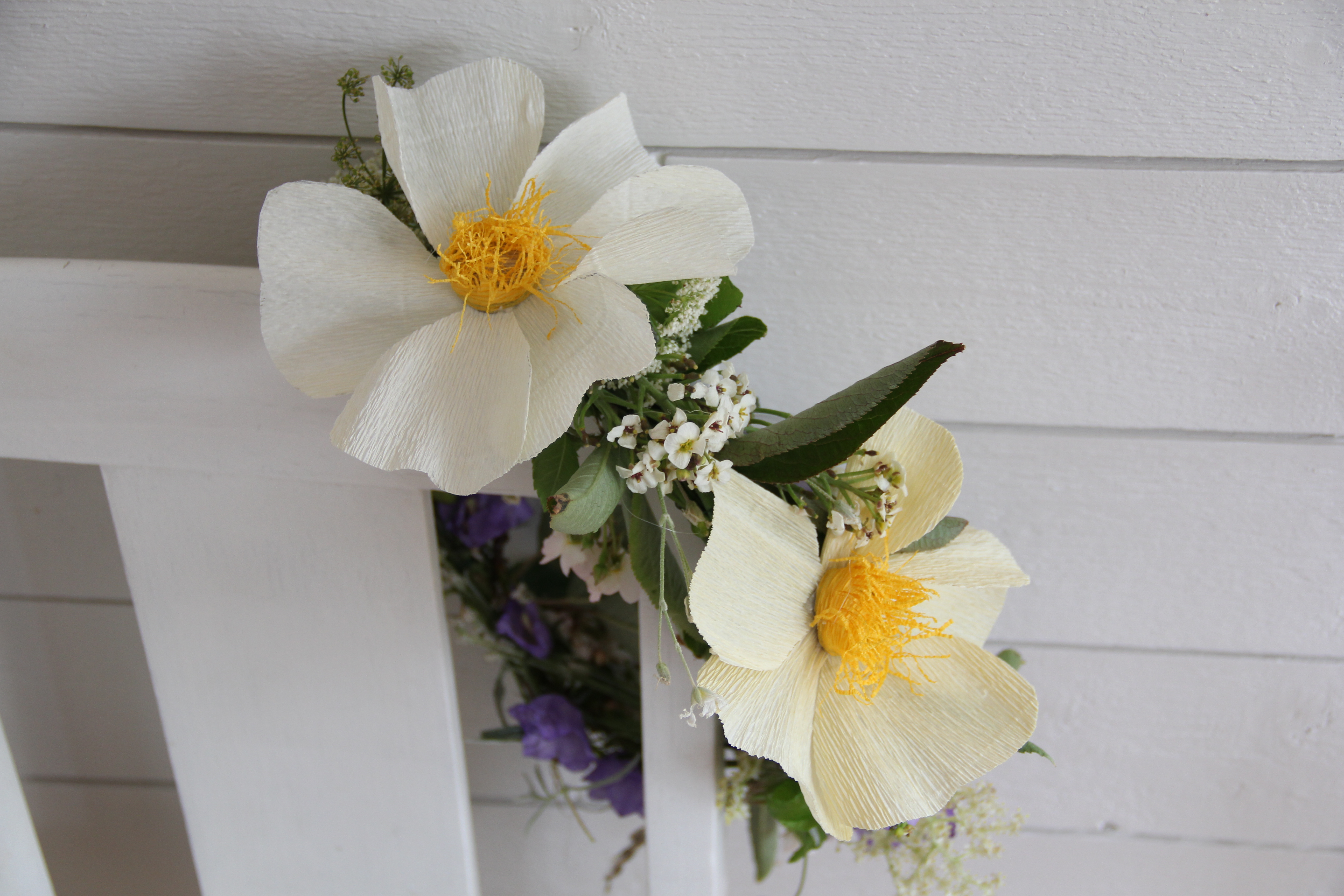 Bild på pappersblommor av sorten nyponros.