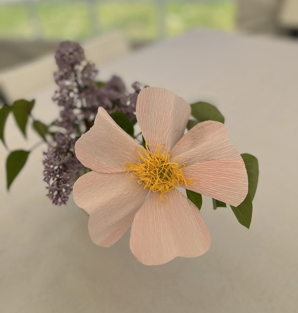 Bild på pappersblommor av sorten nyponros.