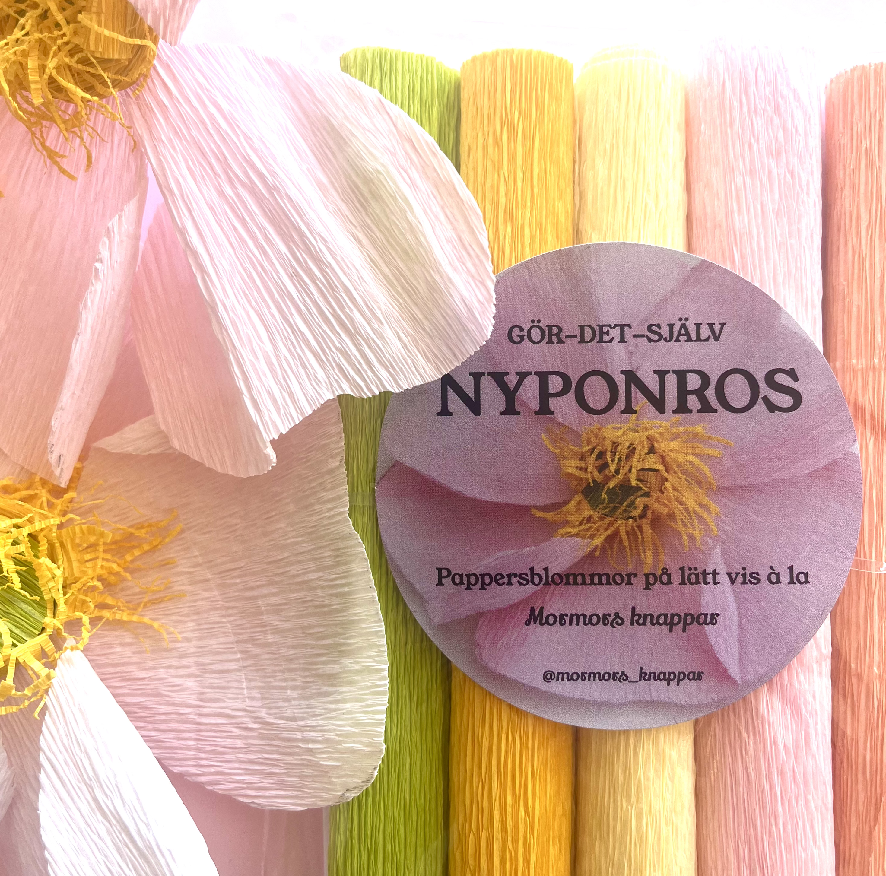 Bild på pappersblommor av sorten nyponros.