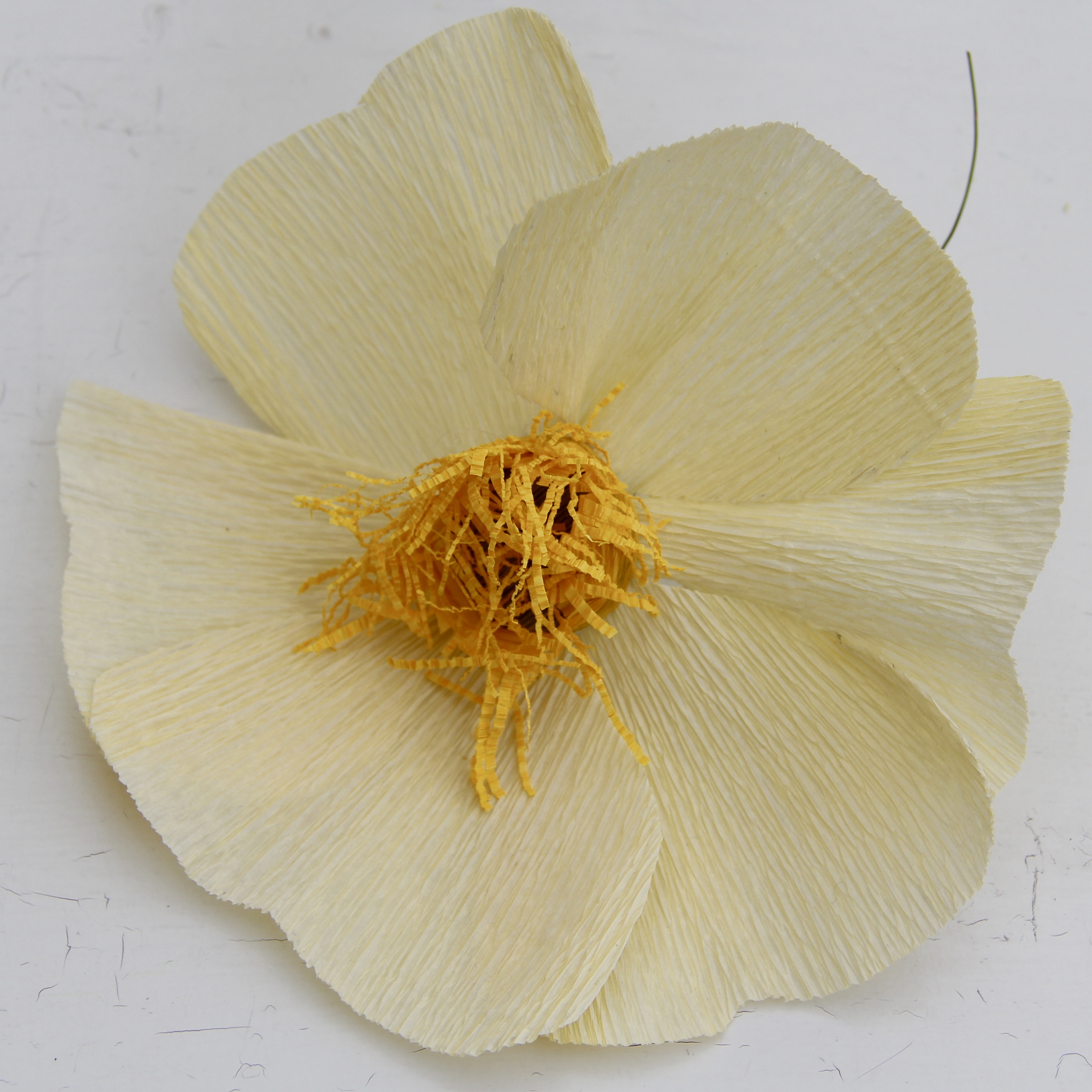 Bild på pappersblommor av sorten nyponros.