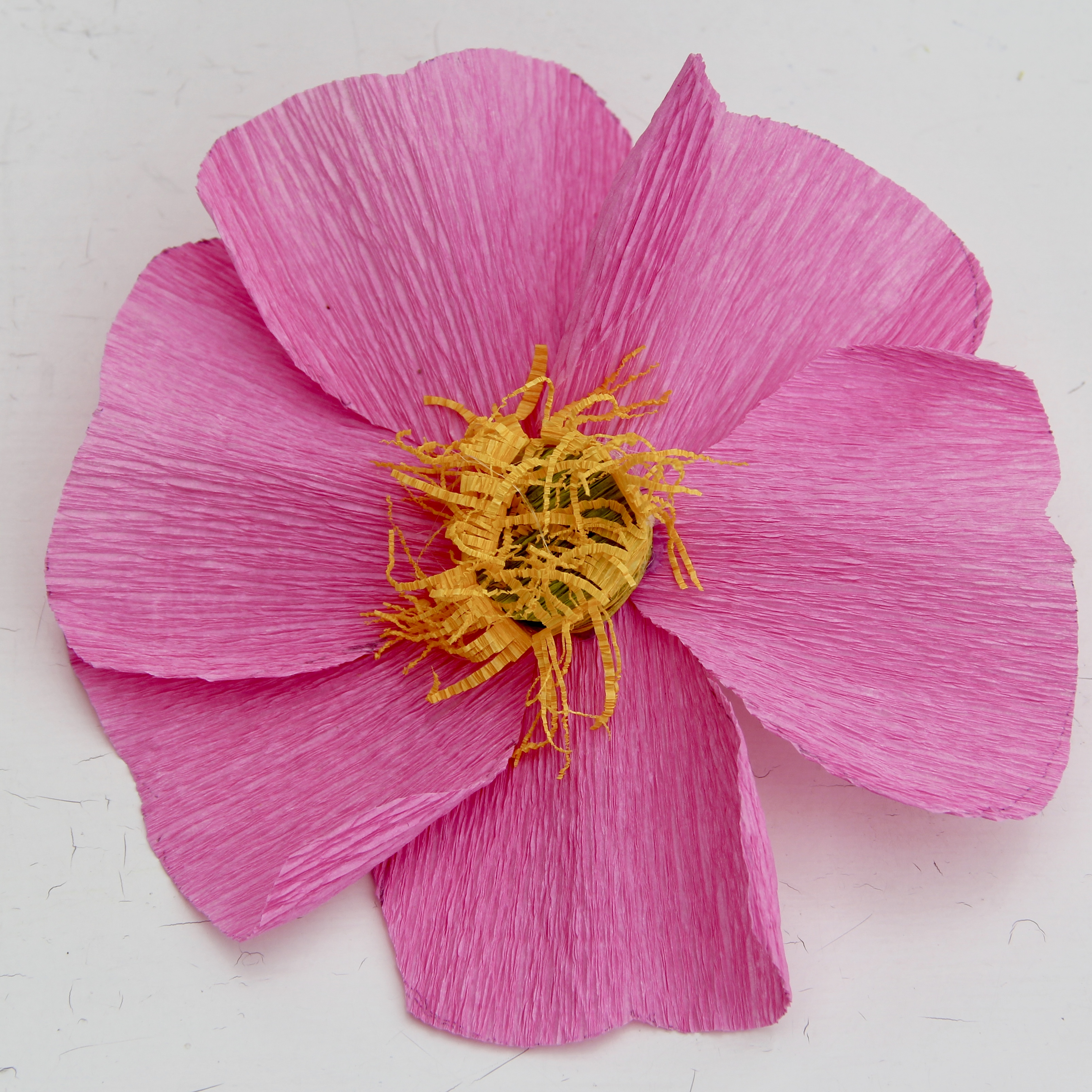 Bild på pappersblommor av sorten nyponros.