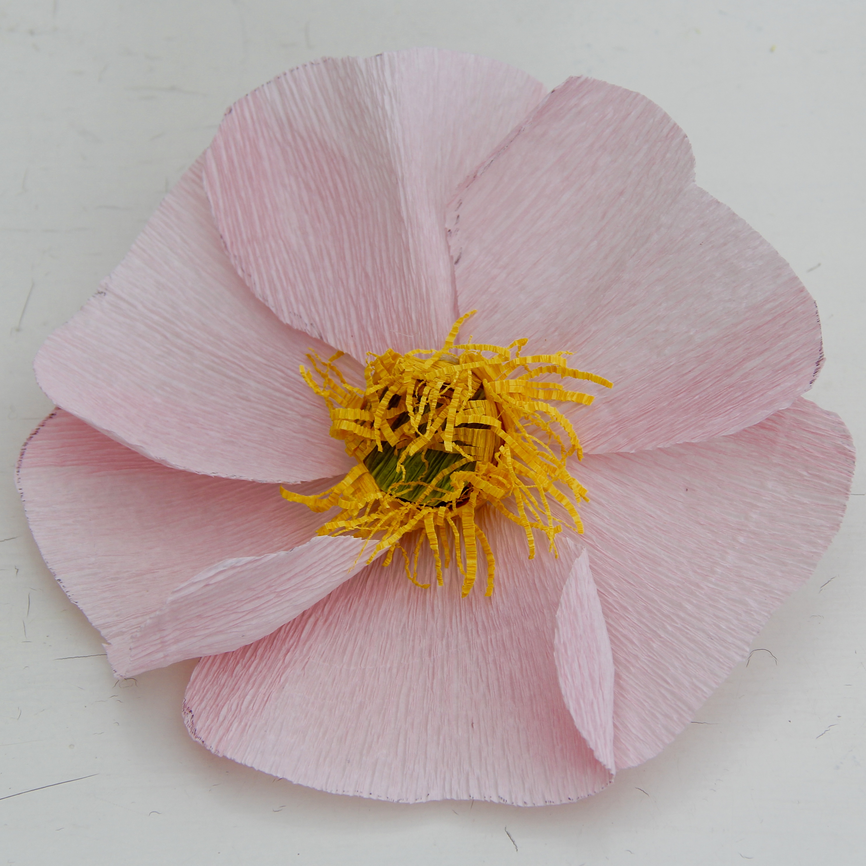 Bild på pappersblommor av sorten nyponros.