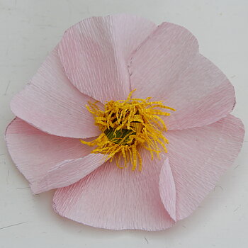 Bild på pappersblommor av sorten nyponros.