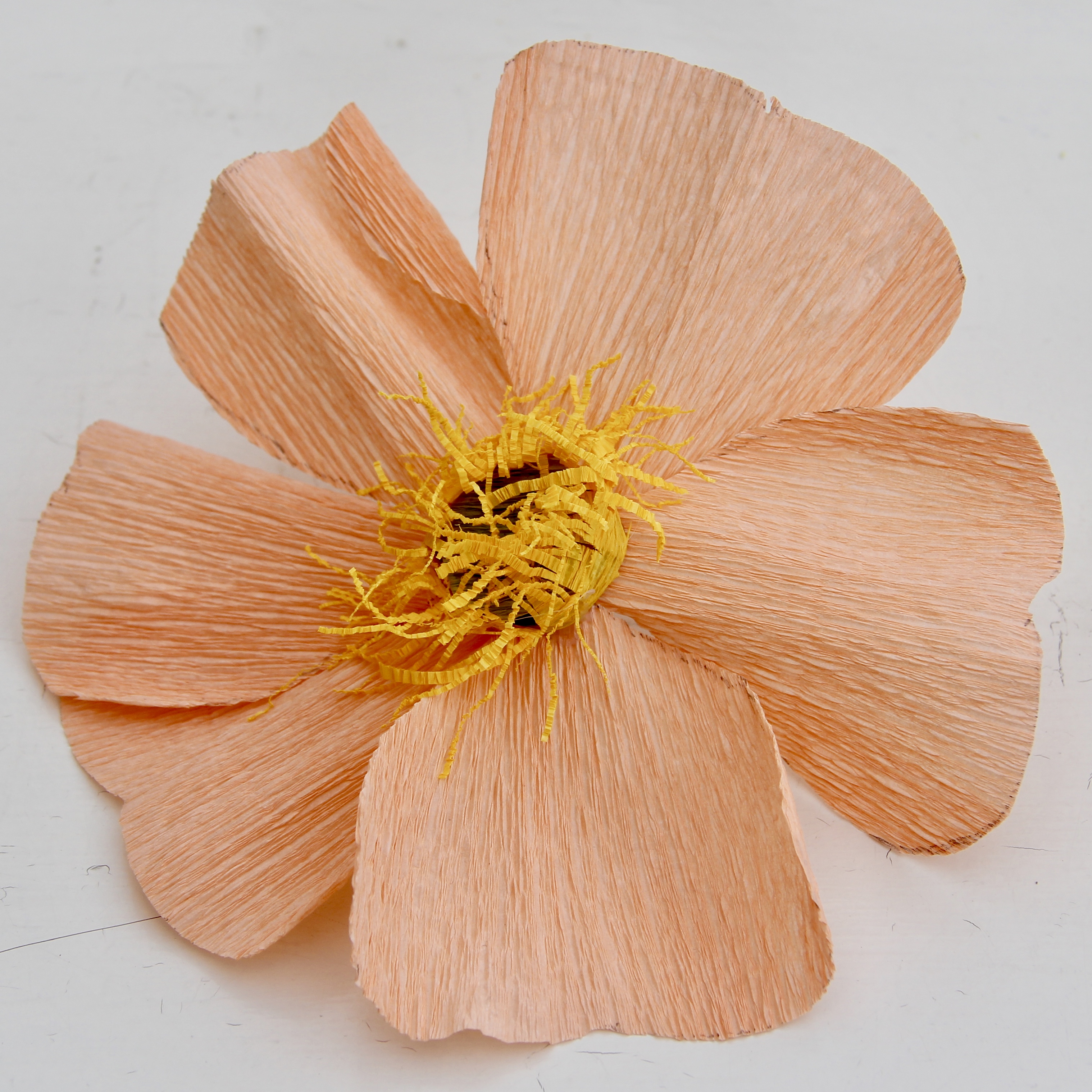 Bild på pappersblommor av sorten nyponros.