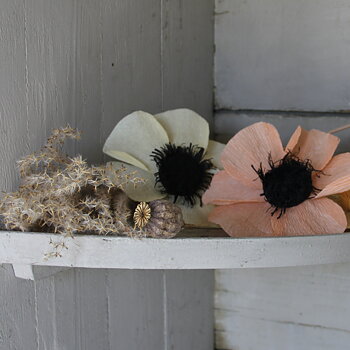 Bild på pappersblommor av sorten anemon.