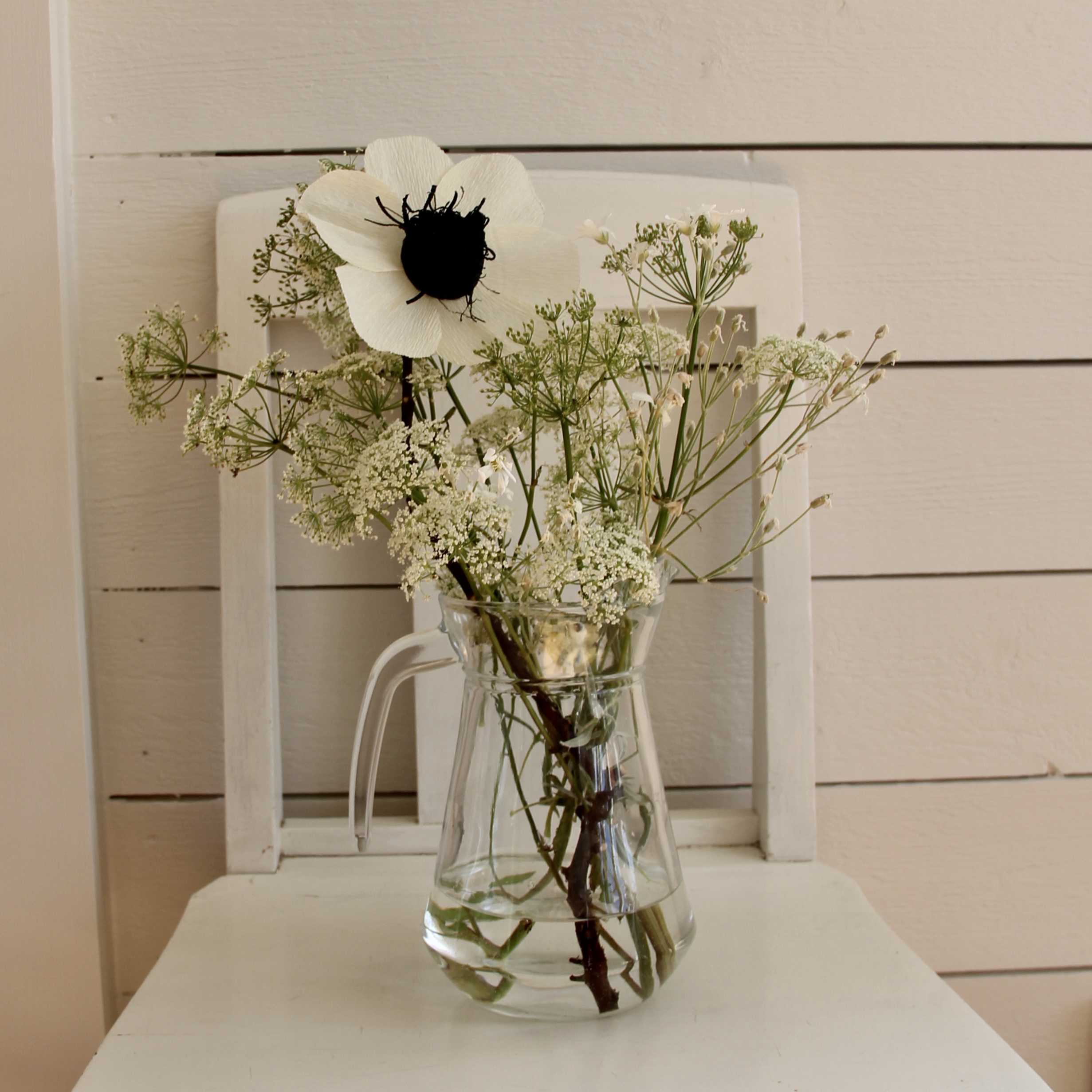 Bild på pappersblommor av sorten anemon.