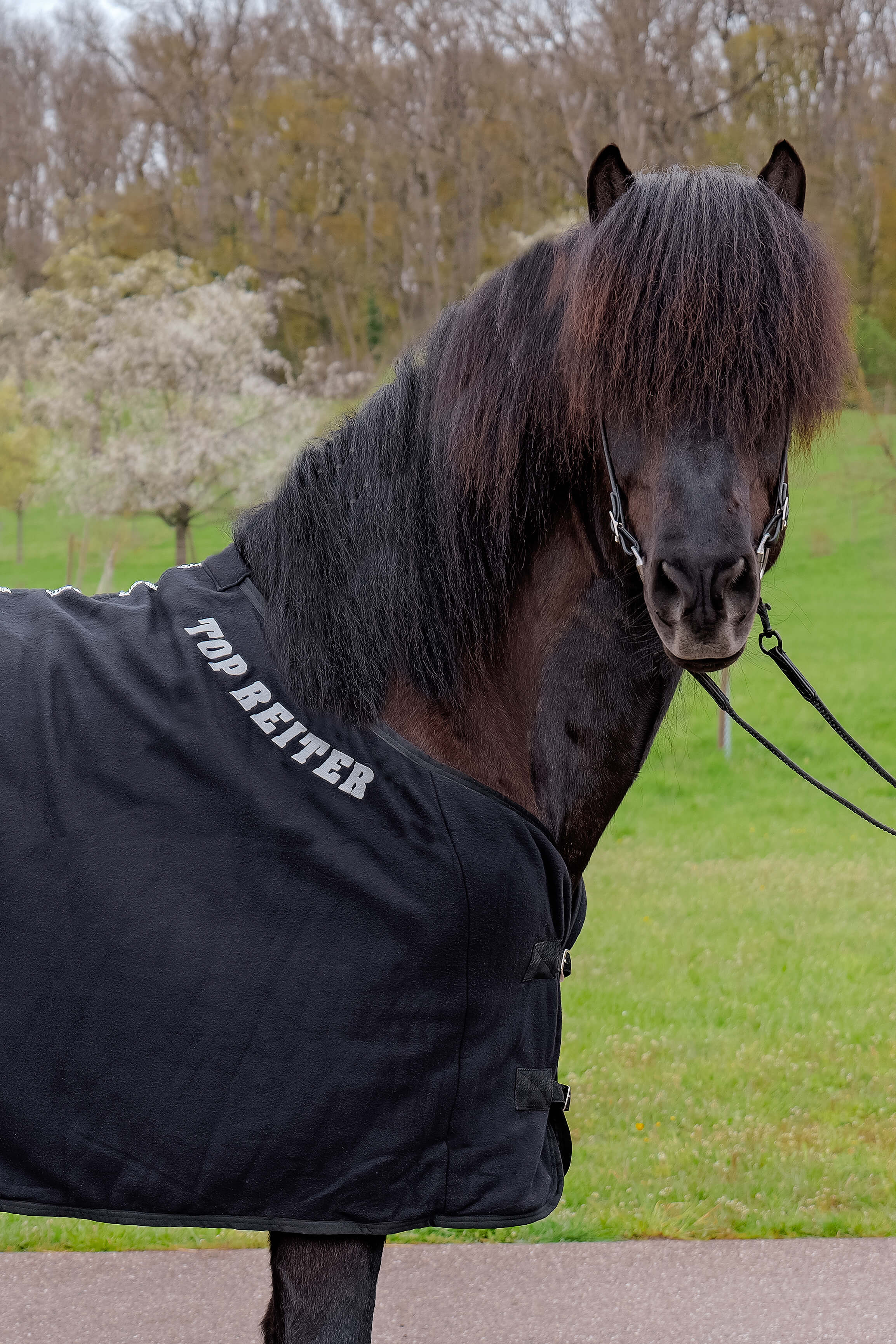 Top Reiter Fleecetäcke Logo "nya modellen" flera färger - 8