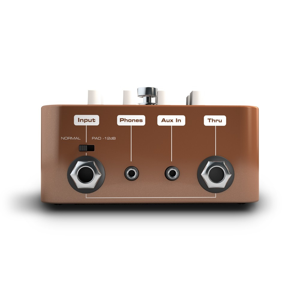 Palmer Pocket Amp Acoustic - 4