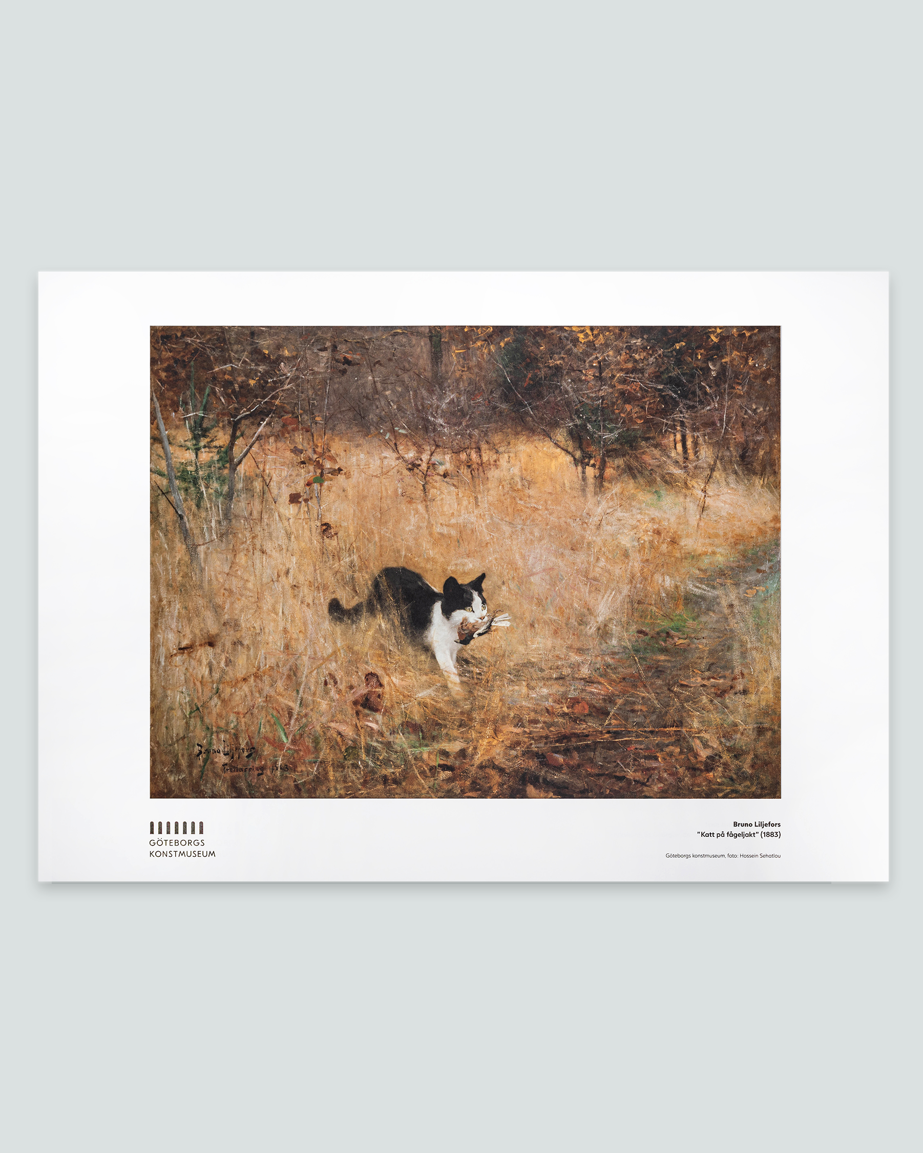 Affisch, Bruno Liljefors, Katt på fågeljakt