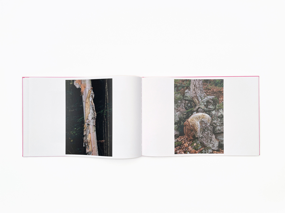 Lisa Klapstock: Dreams of a Place We Have Lived - 7