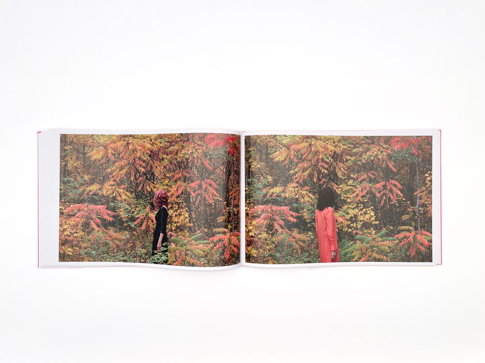Lisa Klapstock: Dreams of a Place We Have Lived - 9