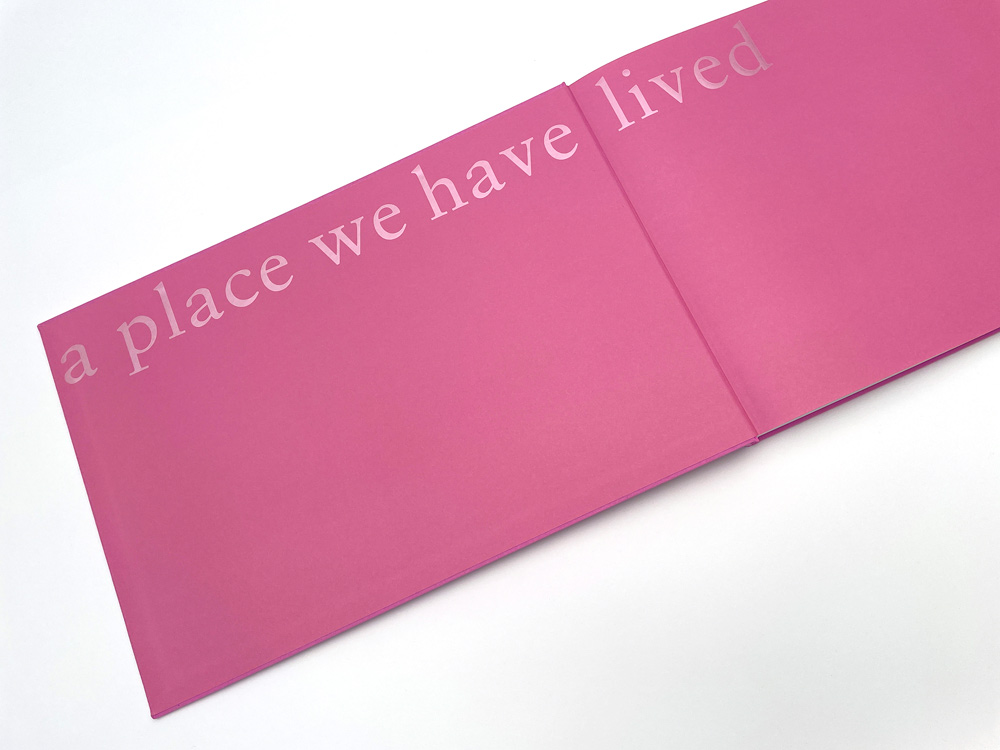 Lisa Klapstock: Dreams of a Place We Have Lived - 12