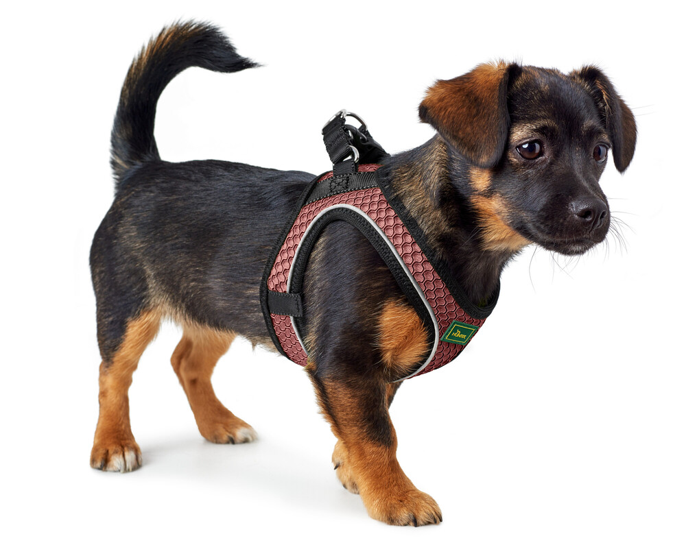 HUNTER Hilo Comfort sele gammelrosa - 3