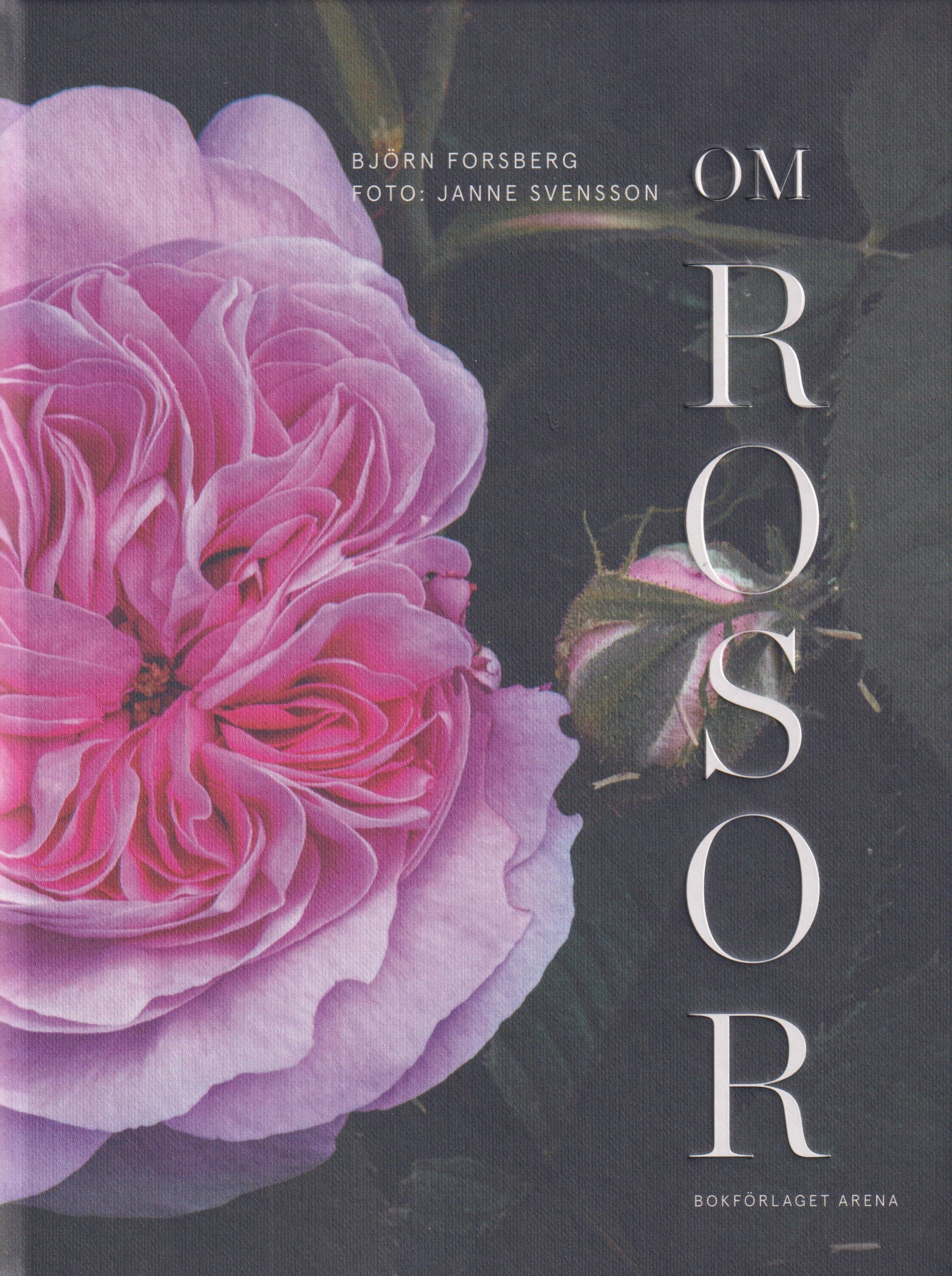 Björn Forsberg : Om rosor