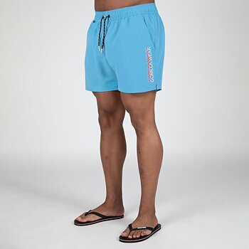 Sarasota Swim Shorts, blue