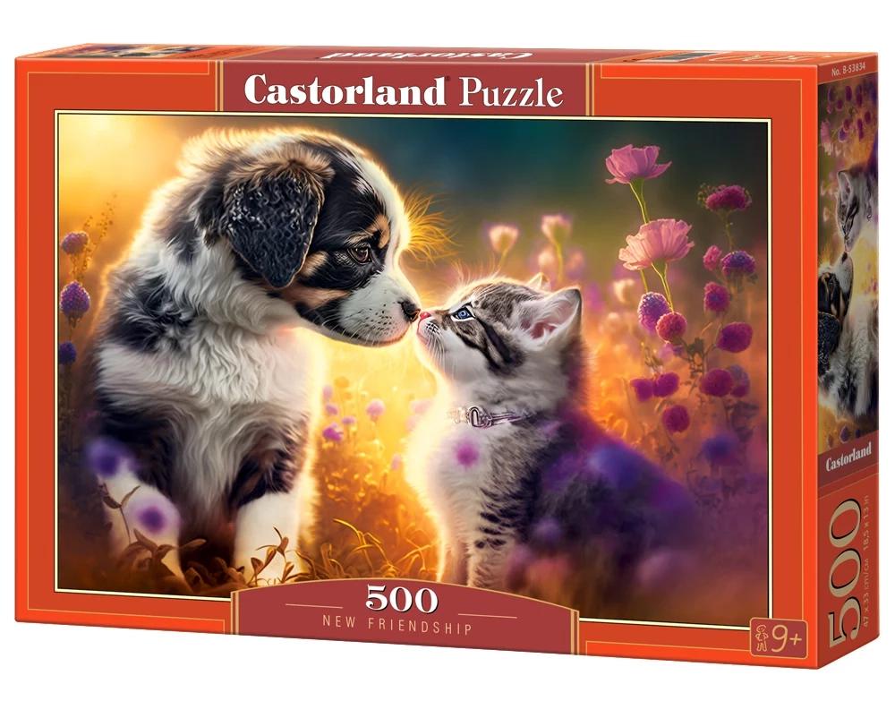 New Friendship 500 Bitar Castorland - 2