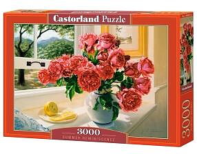 Summer Reminiscence 3000 Bitar Castorland