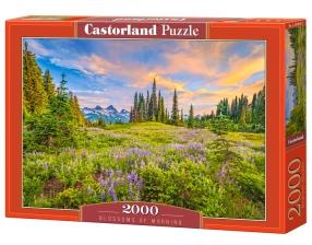 Blossoms of Morning 2000 Bitar Castorland - 2