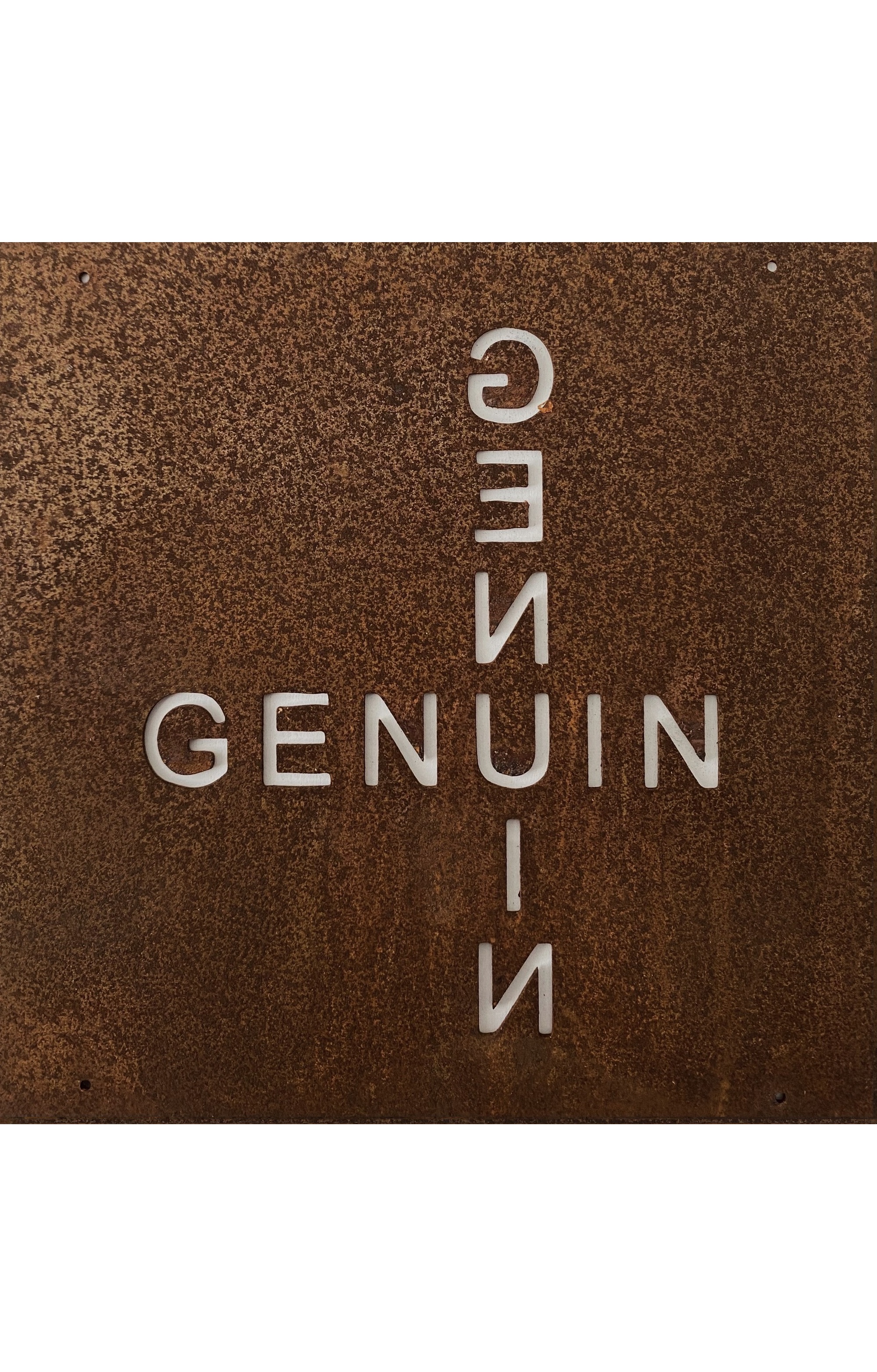 Genuin sign with steel wire for reinforcement mesh or sign holder - 2