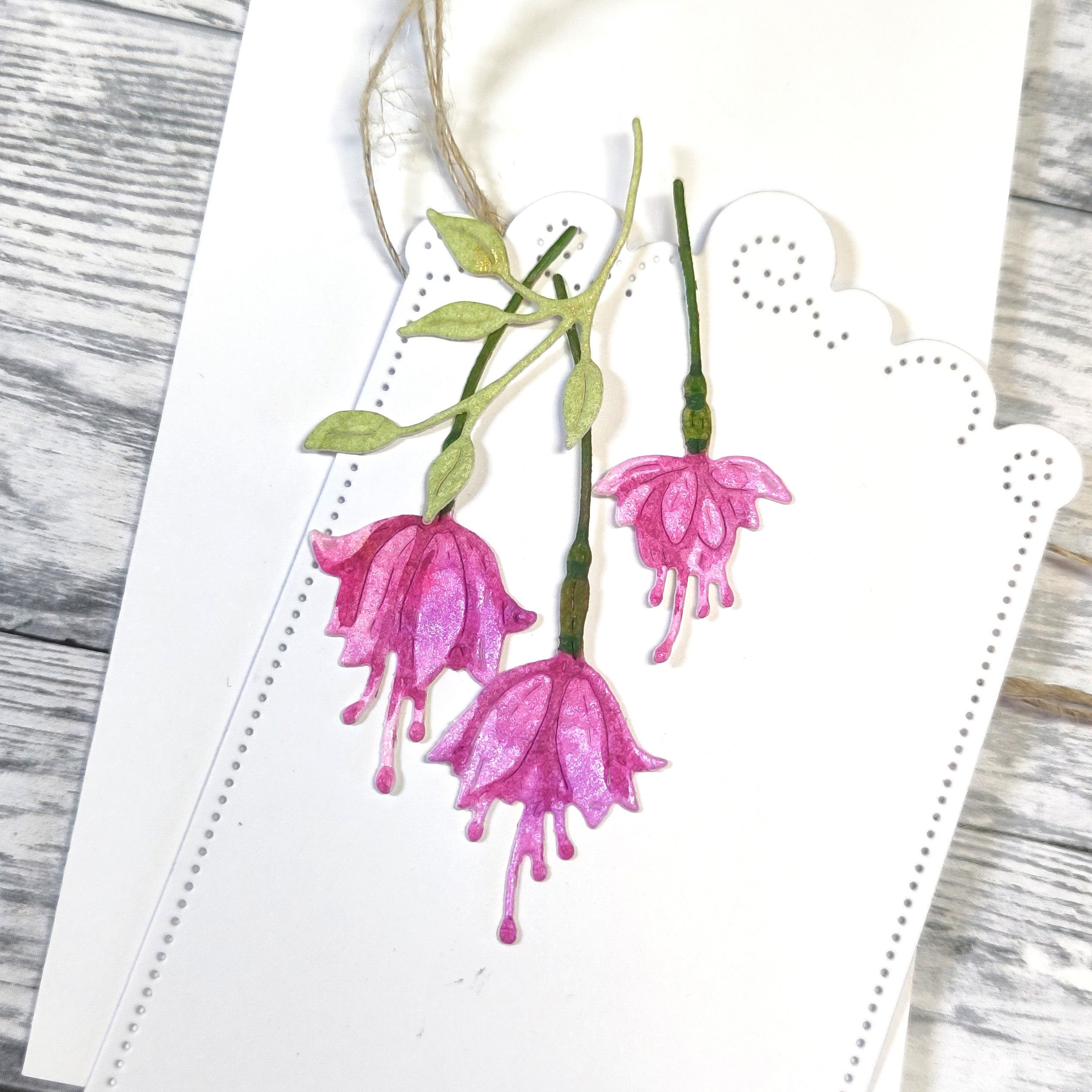 Gummiapan dies - Fuchsia blommor - 2
