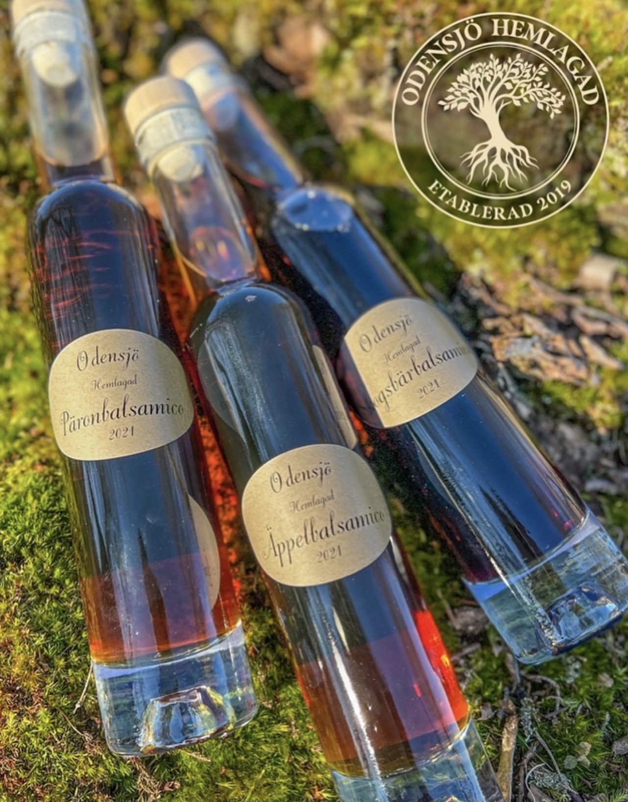 Odensjö Hemlagad Balsamico Äpple 200 ml - 7