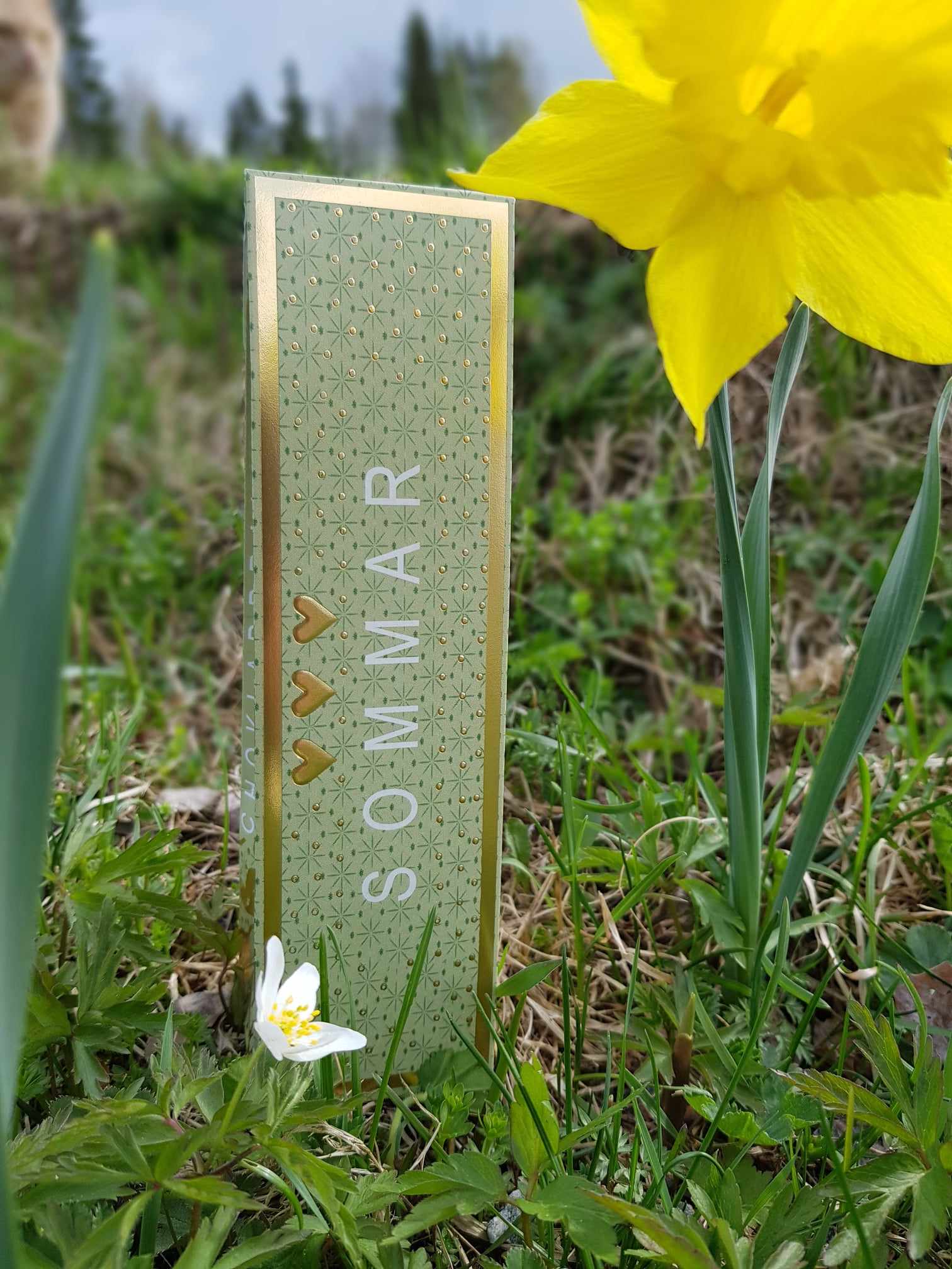 Chokladpraliner - Sommar - 2