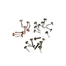 Tim Holtz Idea-Ology  Long Fasteners