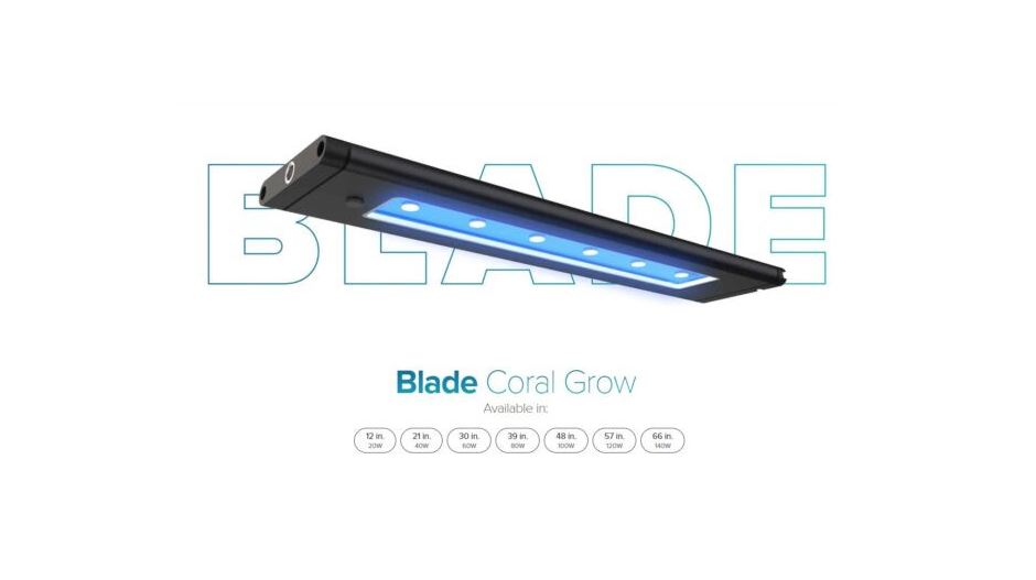 AI Blade Coral Grow