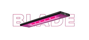 AI Blade Refugium