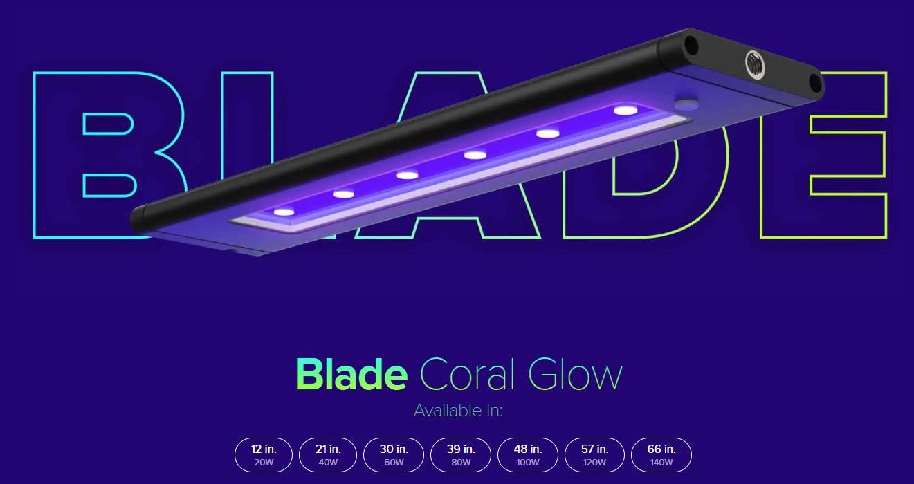 AI Blade Coral Glow