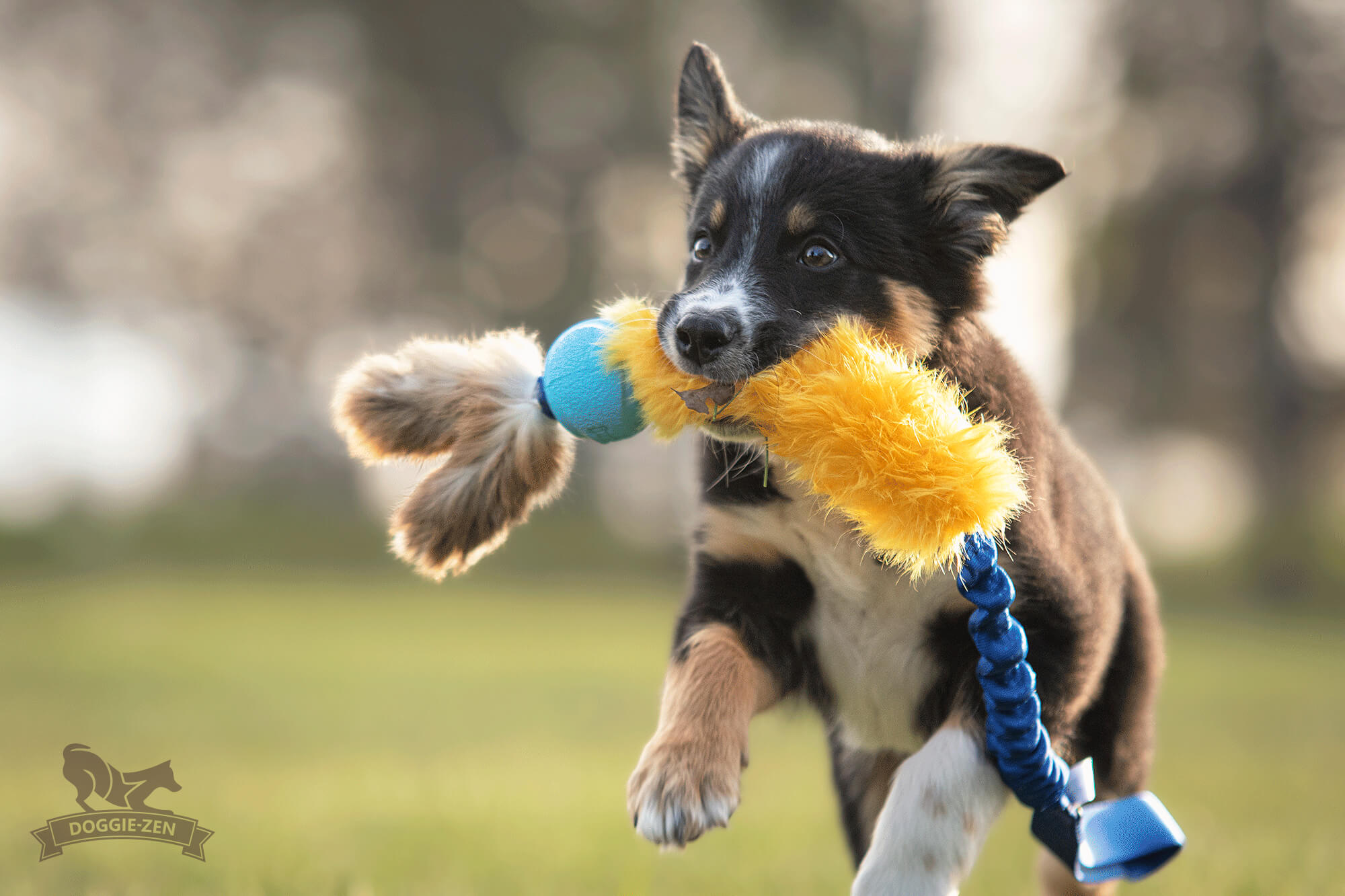 Bungee Fake Fur Tug L with Chuckit & Rabbit Tails - 3