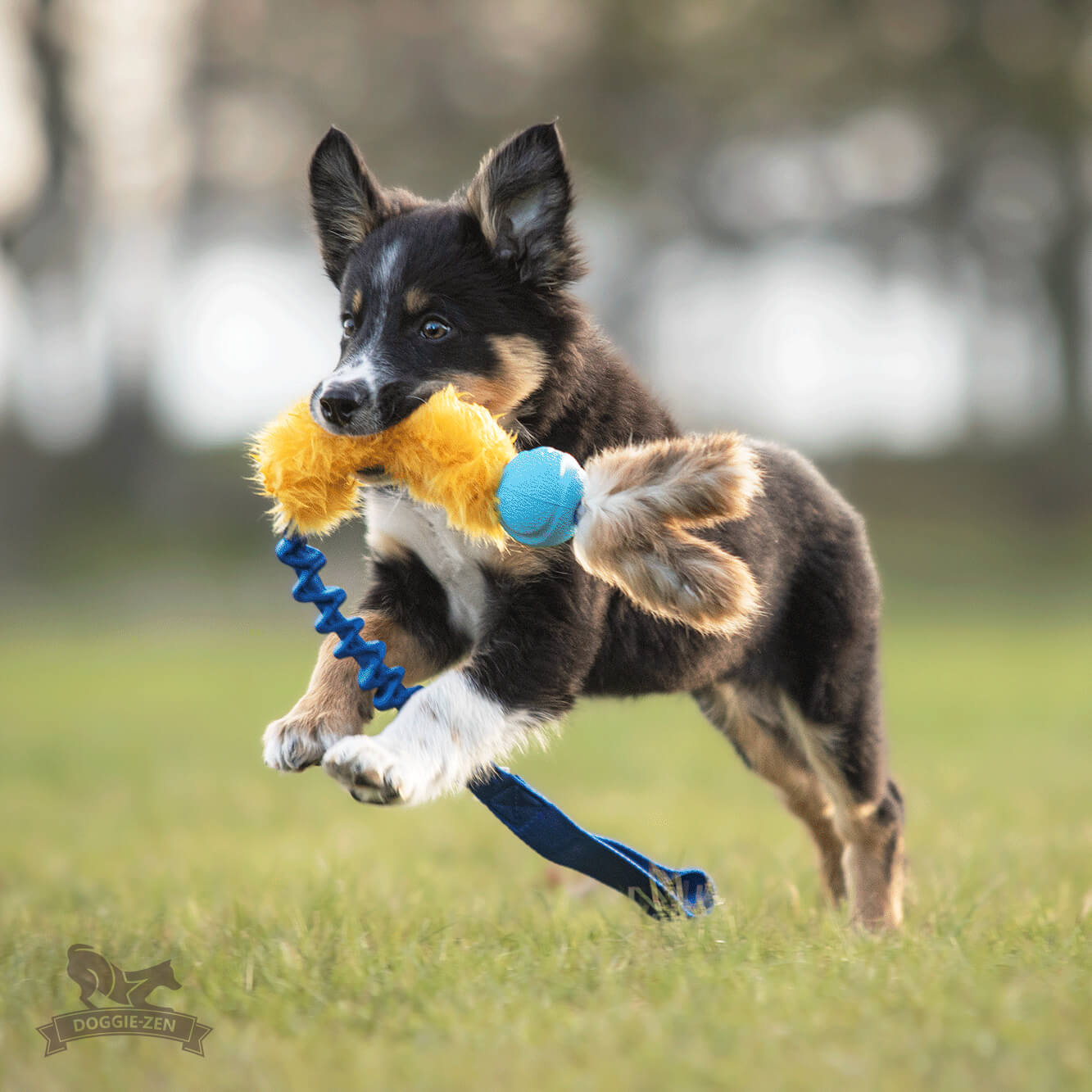 Bungee Fake Fur Tug L with Chuckit & Rabbit Tails