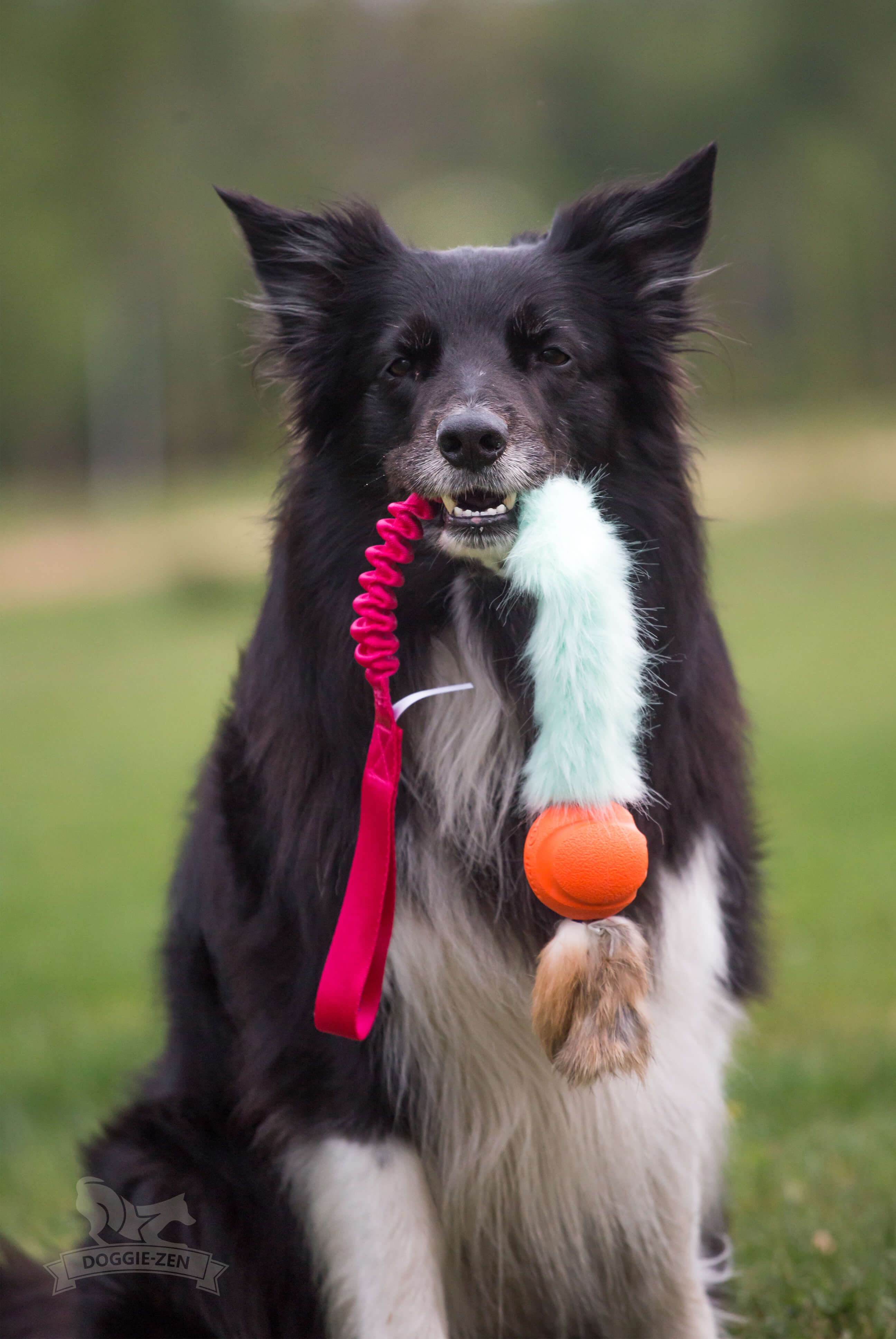 Bungee Fake Fur Tug L with Chuckit & Rabbit Tails - 10