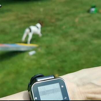 Target buzzer