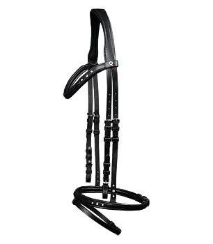 Waldhausen Stone Icelandic Bridle - Black