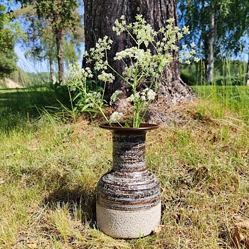 Vas från Nittsjö 